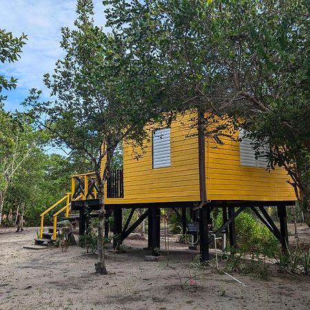 Palmento Grove Garifuna Eco-Cultural & Healing Institute Hopkins Zewnętrze zdjęcie