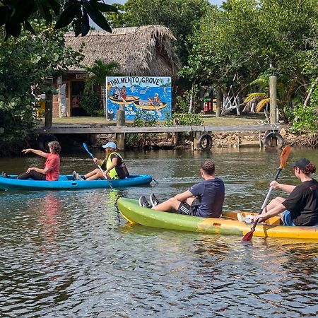 Palmento Grove Garifuna Eco-Cultural & Healing Institute Hopkins Zewnętrze zdjęcie