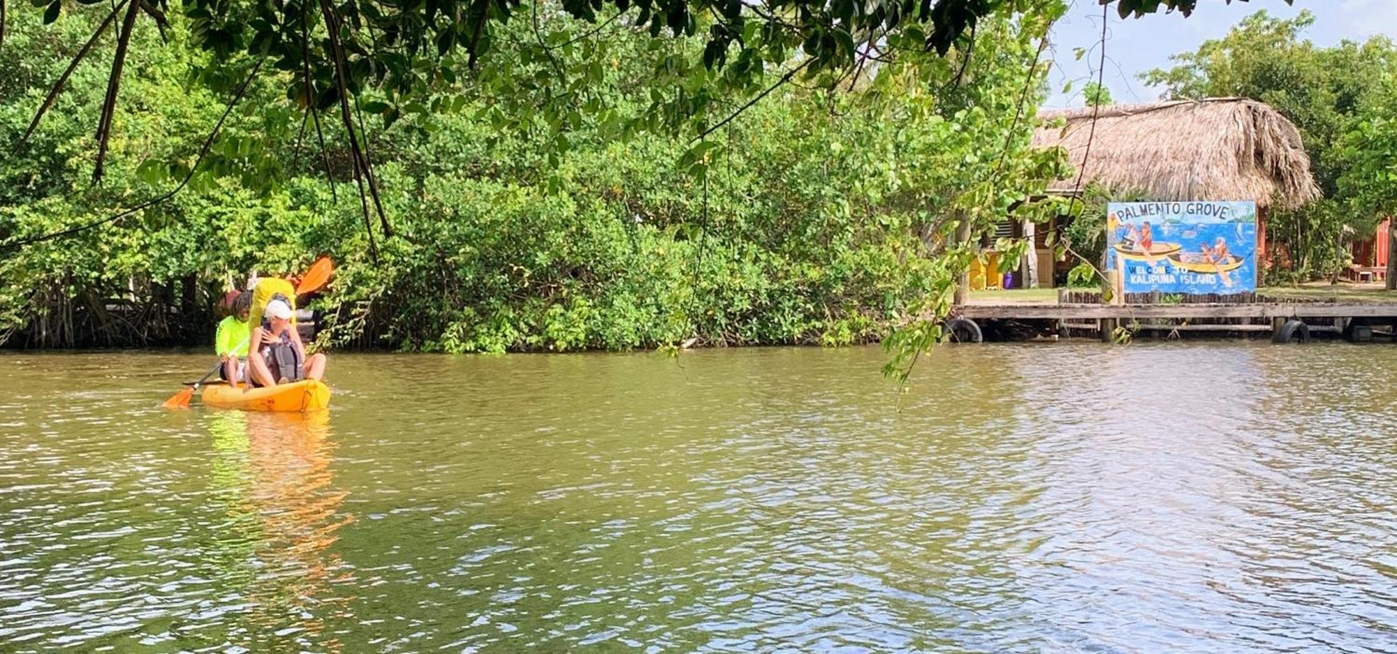 Palmento Grove Garifuna Eco-Cultural & Healing Institute Hopkins Zewnętrze zdjęcie