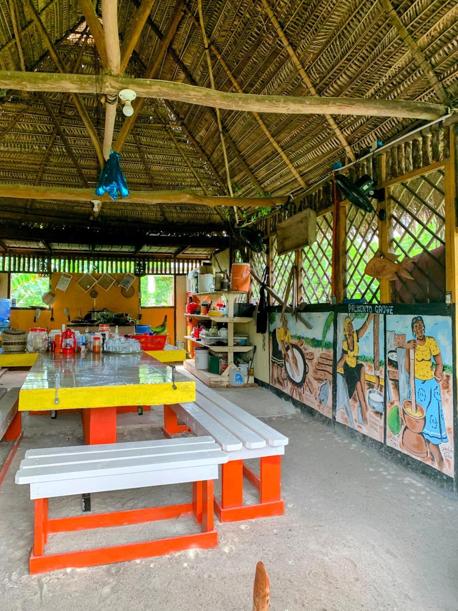 Palmento Grove Garifuna Eco-Cultural & Healing Institute Hopkins Zewnętrze zdjęcie