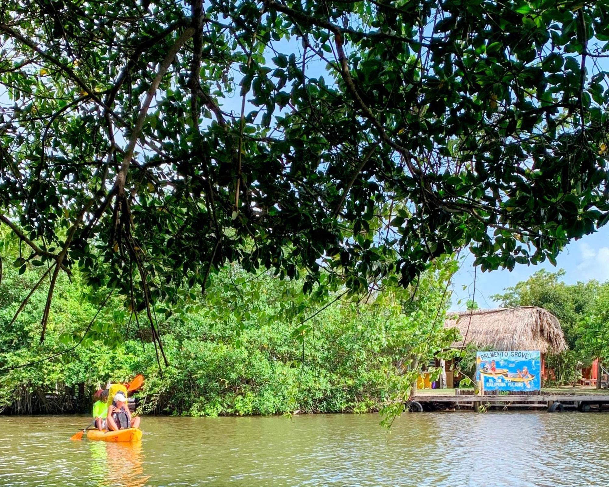 Palmento Grove Garifuna Eco-Cultural & Healing Institute Hopkins Zewnętrze zdjęcie