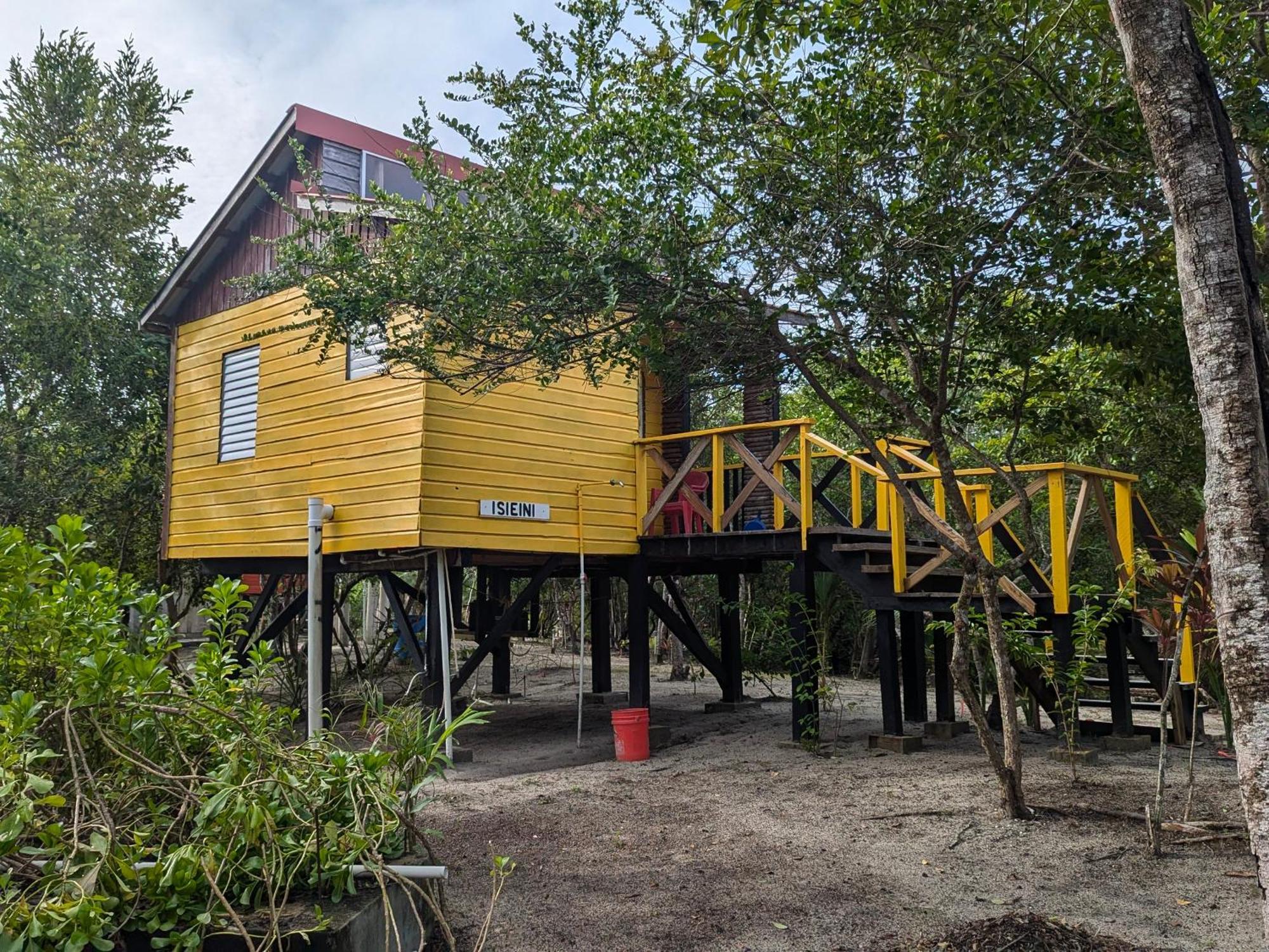 Palmento Grove Garifuna Eco-Cultural & Healing Institute Hopkins Zewnętrze zdjęcie