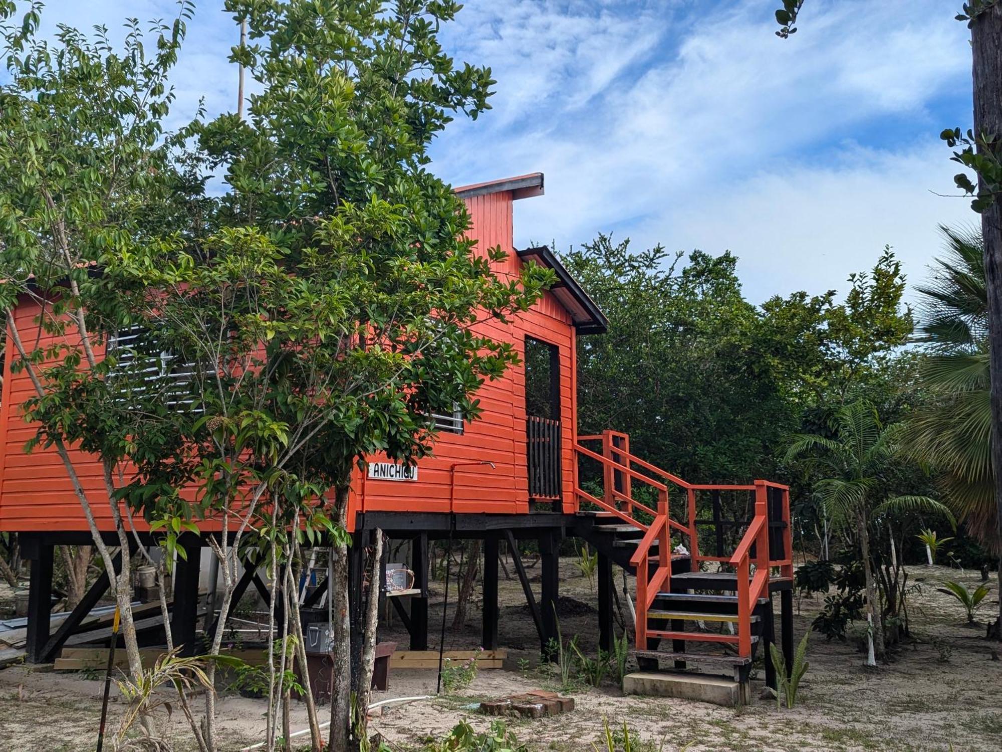 Palmento Grove Garifuna Eco-Cultural & Healing Institute Hopkins Zewnętrze zdjęcie