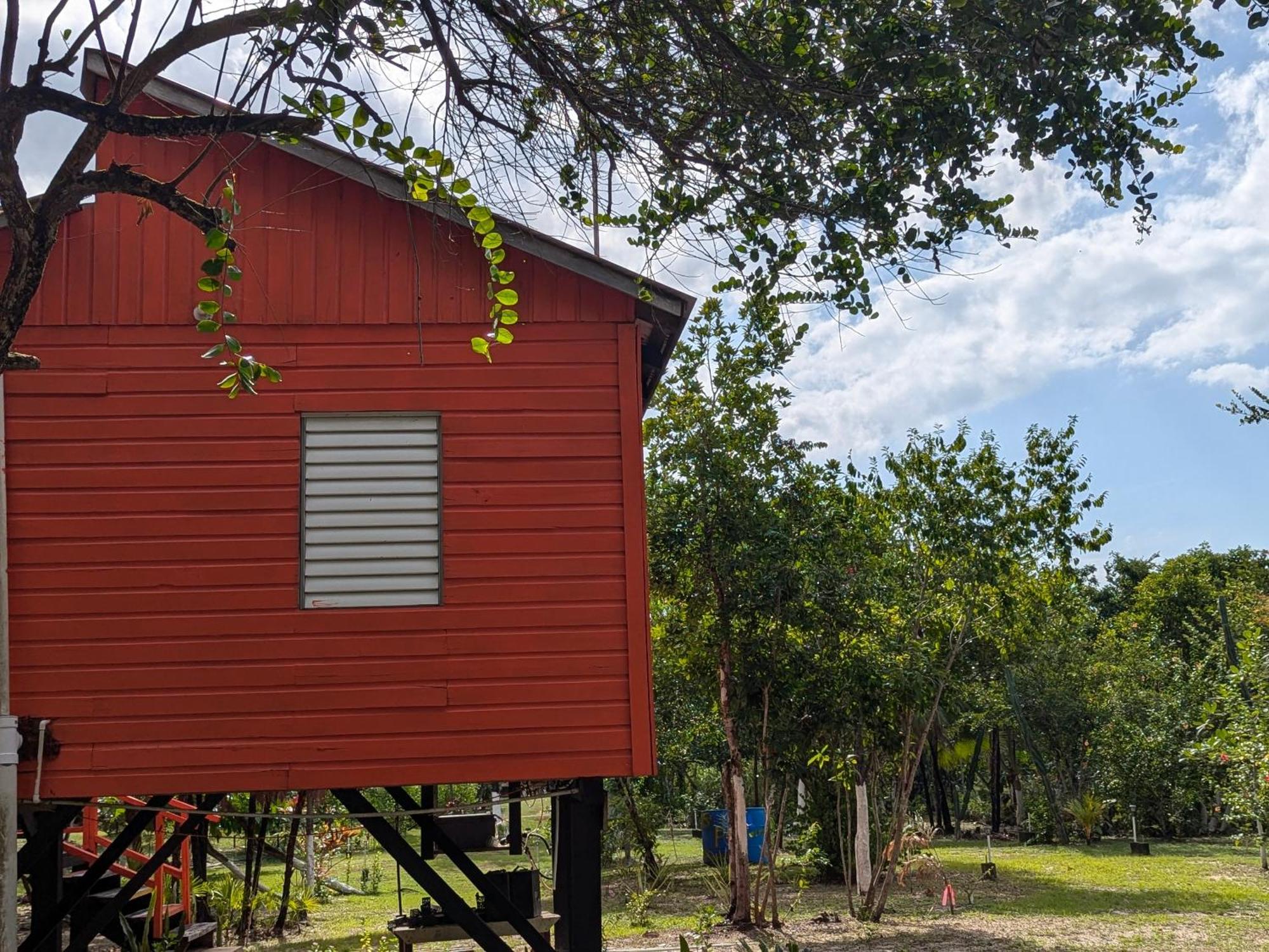 Palmento Grove Garifuna Eco-Cultural & Healing Institute Hopkins Zewnętrze zdjęcie