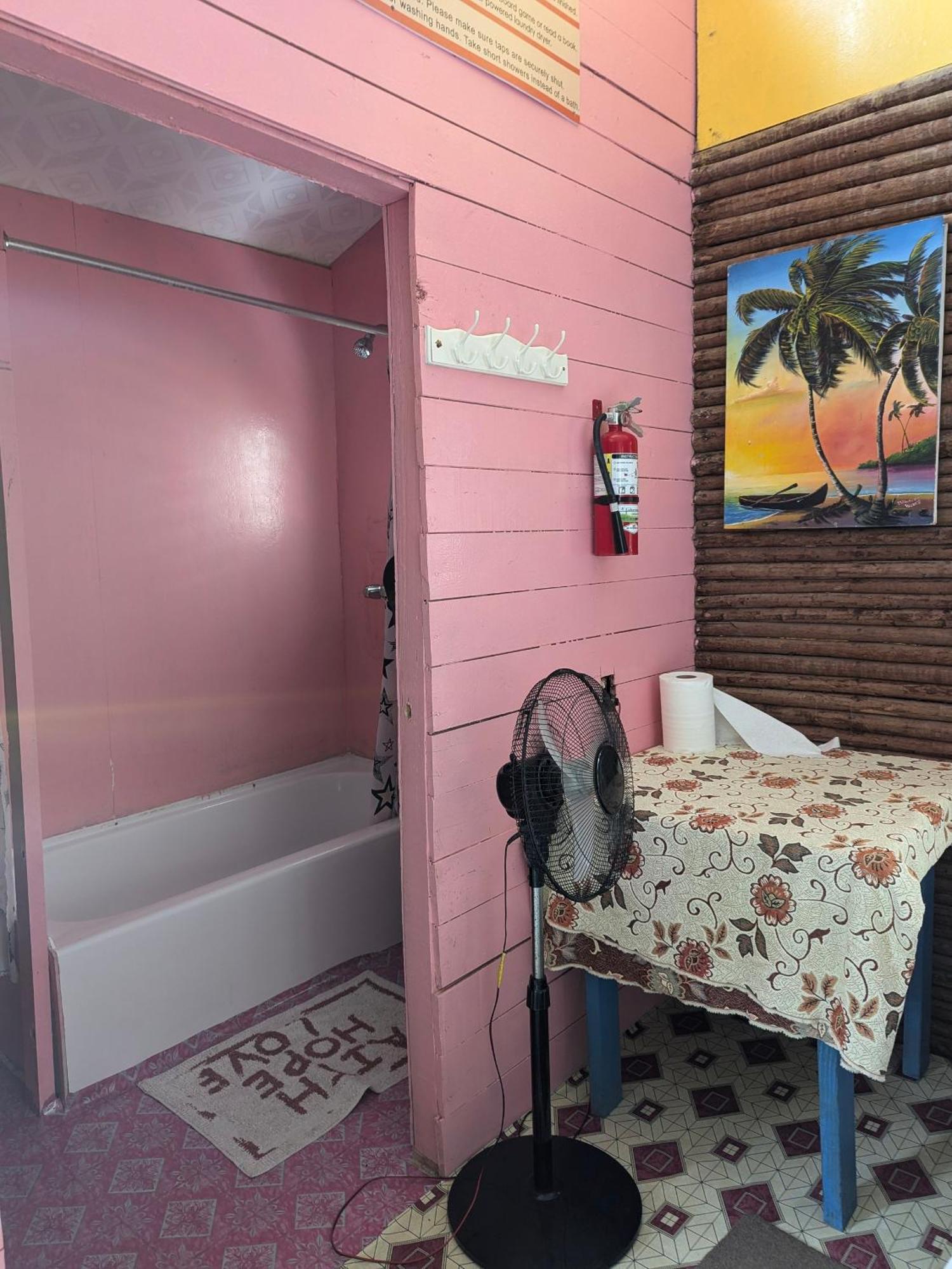 Palmento Grove Garifuna Eco-Cultural & Healing Institute Hopkins Zewnętrze zdjęcie