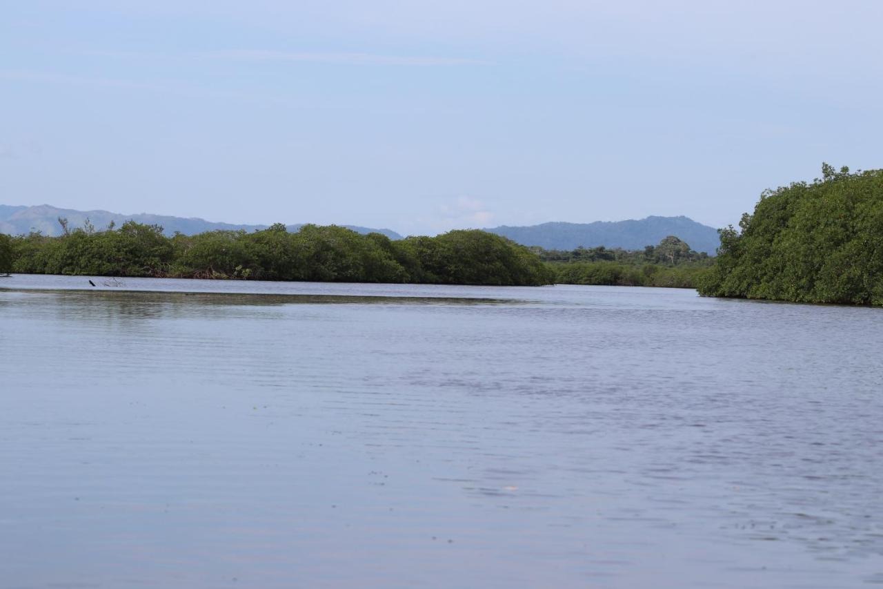 Palmento Grove Garifuna Eco-Cultural & Healing Institute Hopkins Zewnętrze zdjęcie