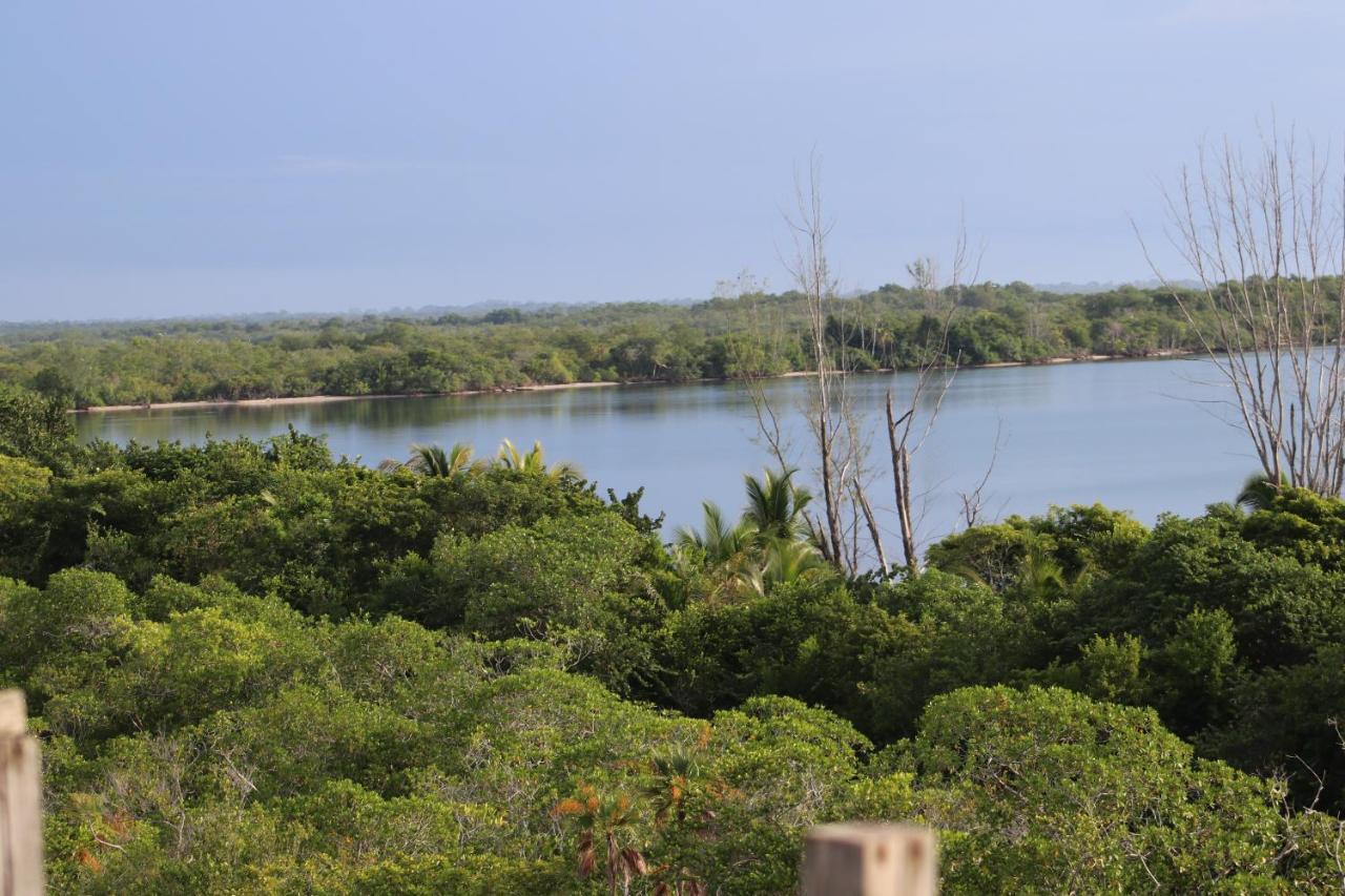 Palmento Grove Garifuna Eco-Cultural & Healing Institute Hopkins Zewnętrze zdjęcie