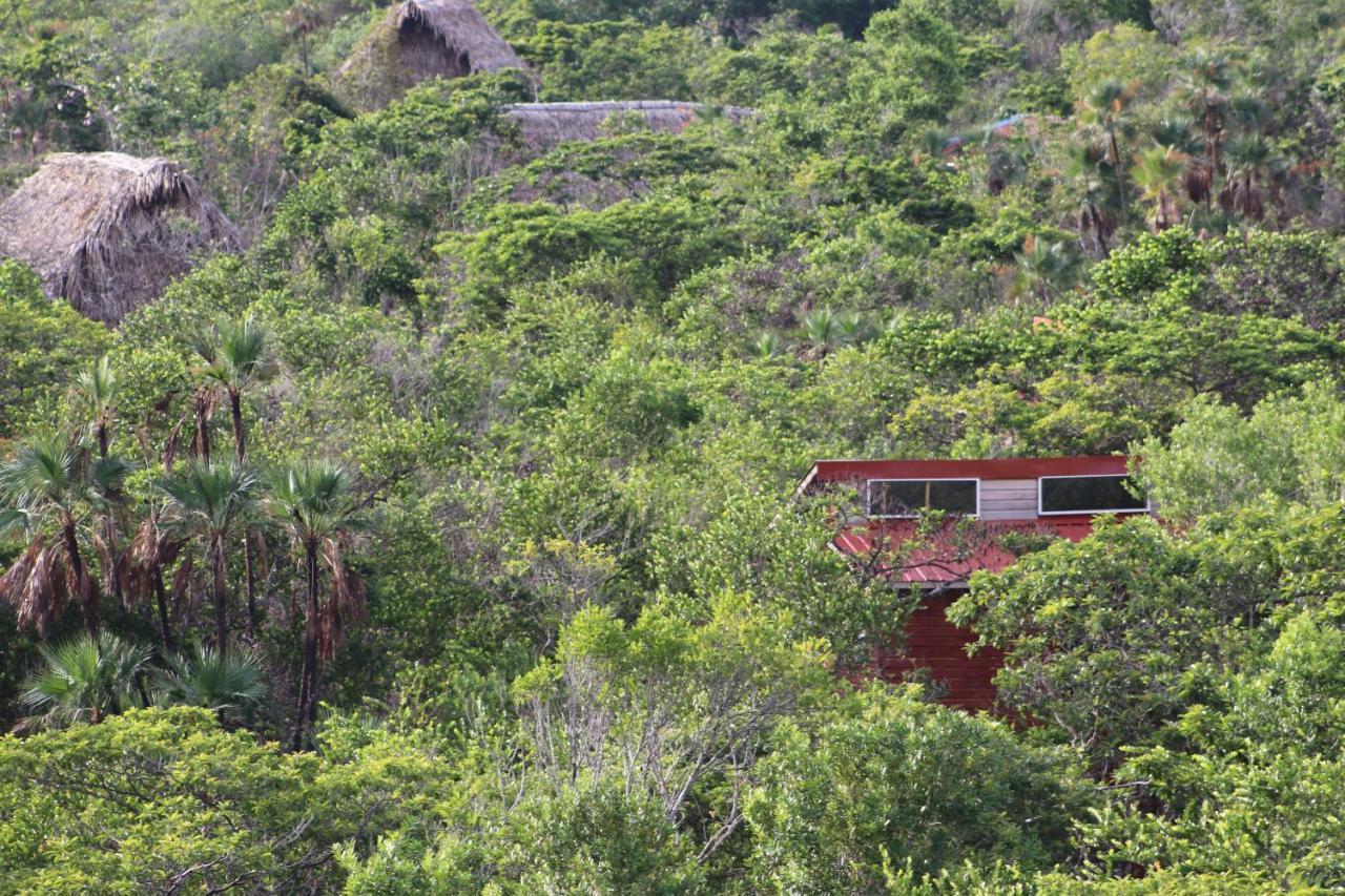 Palmento Grove Garifuna Eco-Cultural & Healing Institute Hopkins Zewnętrze zdjęcie