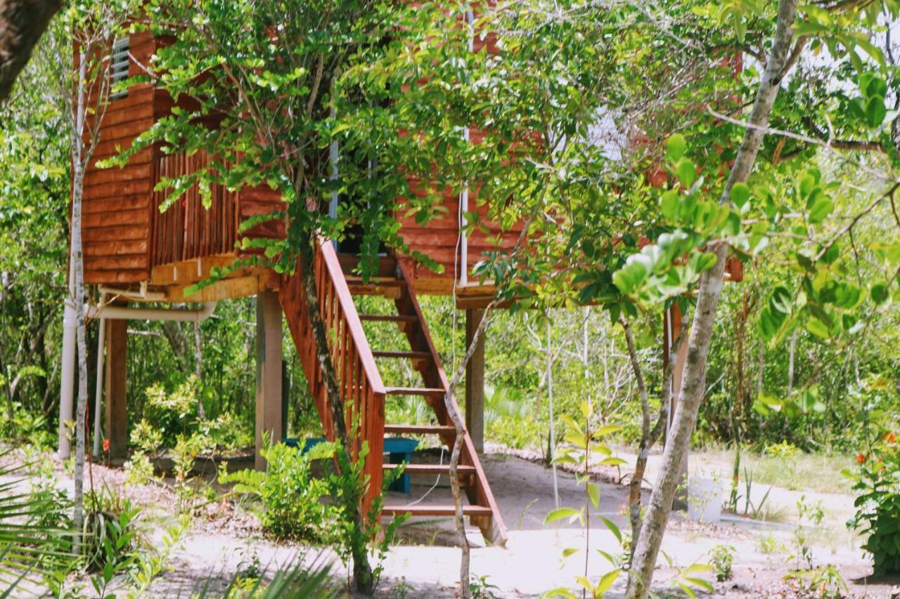 Palmento Grove Garifuna Eco-Cultural & Healing Institute Hopkins Zewnętrze zdjęcie