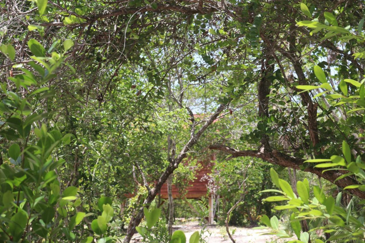 Palmento Grove Garifuna Eco-Cultural & Healing Institute Hopkins Zewnętrze zdjęcie